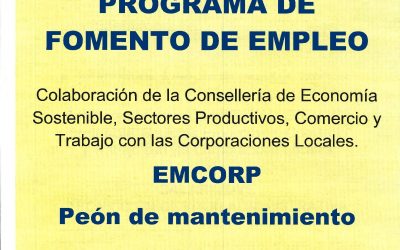 PROGRAMA EMCORP 2017
