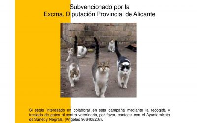CAMPAÑA DE ESTERILIZACIÓN DE GATOS SIN PROPIETARIO Y CONTROL DE DÍPTEROS 2022