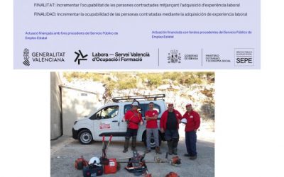 PROGRAMA EMERGE 2025