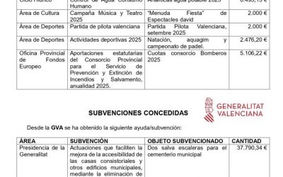 SUBVENCIONES RECIBIDAS 2025